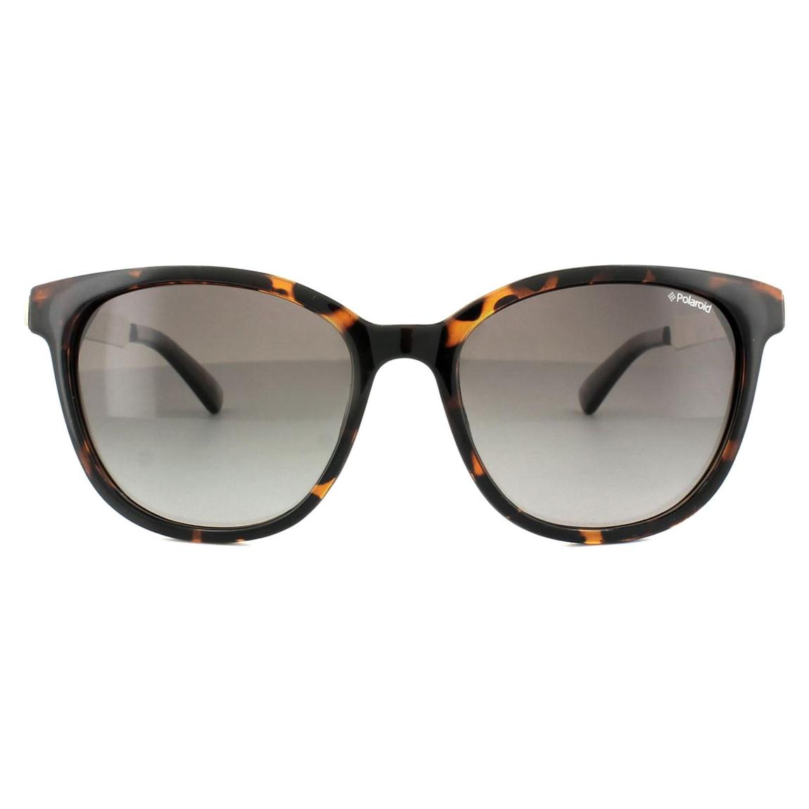 Polaroid Sunglasses 5015/S LLY 94 Havana Gold Brown Polarized main product photo