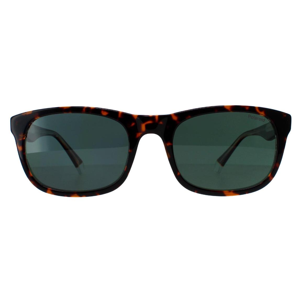 Polaroid Sunglasses PLD 2104/S/X KRZ/UC Havana Green Polarized main product photo