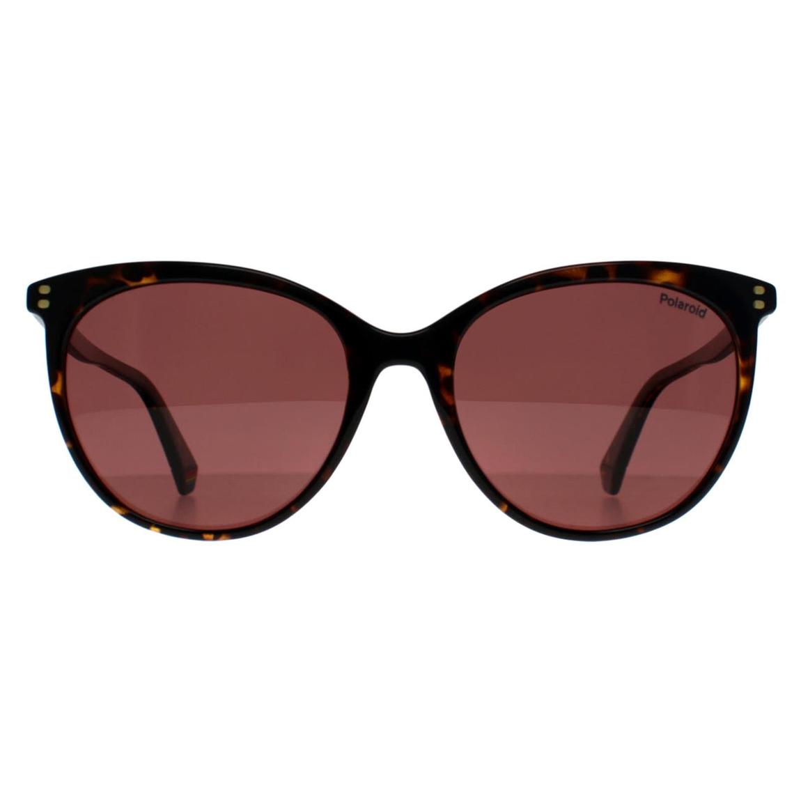 Polaroid Sunglasses PLD 6231/S 086 KL Havana Violet Polarized main product photo
