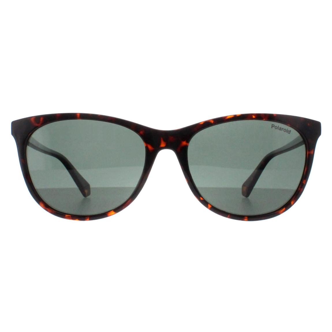 Polaroid Sunglasses PLD 4161/S 086 UC Havana Green Polarized main product photo