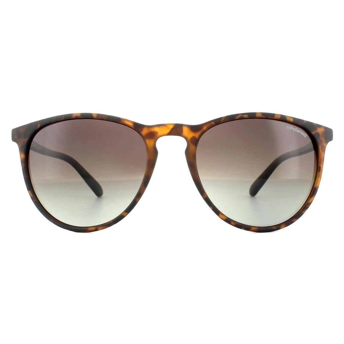 Polaroid Sunglasses PLD 6003/N/S V08 LA Havana Brown Gradient Polarized main product photo