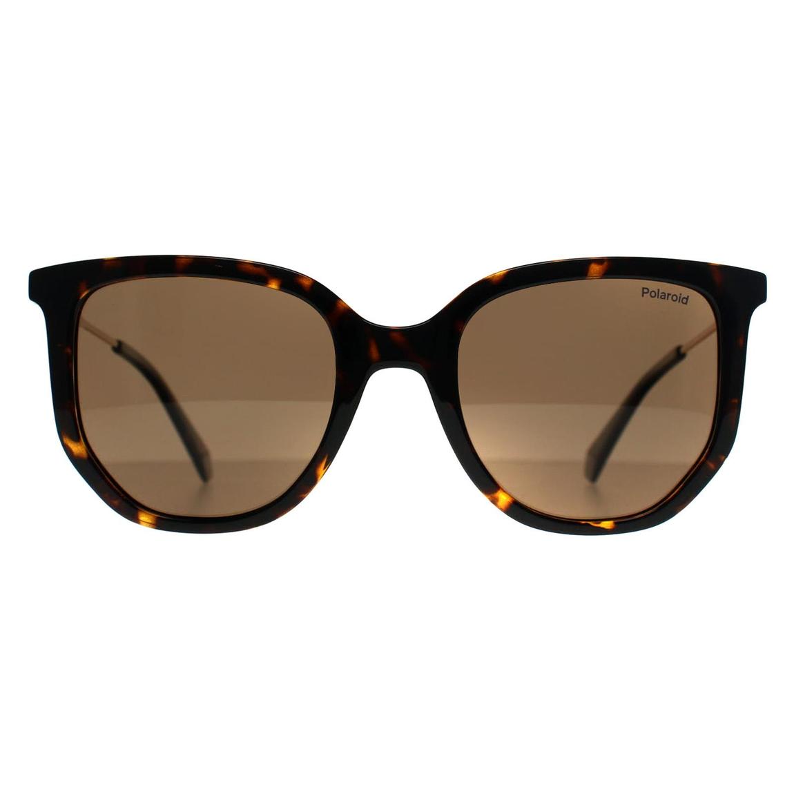Polaroid Sunglasses PLD 4185/S/X 086 SP Havana Bronze Polarized main product photo
