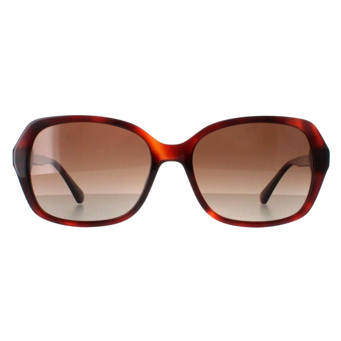 Kate Spade Sunglasses Yvette/S 086 LA Havana Brown Gradient Polarized main product photo