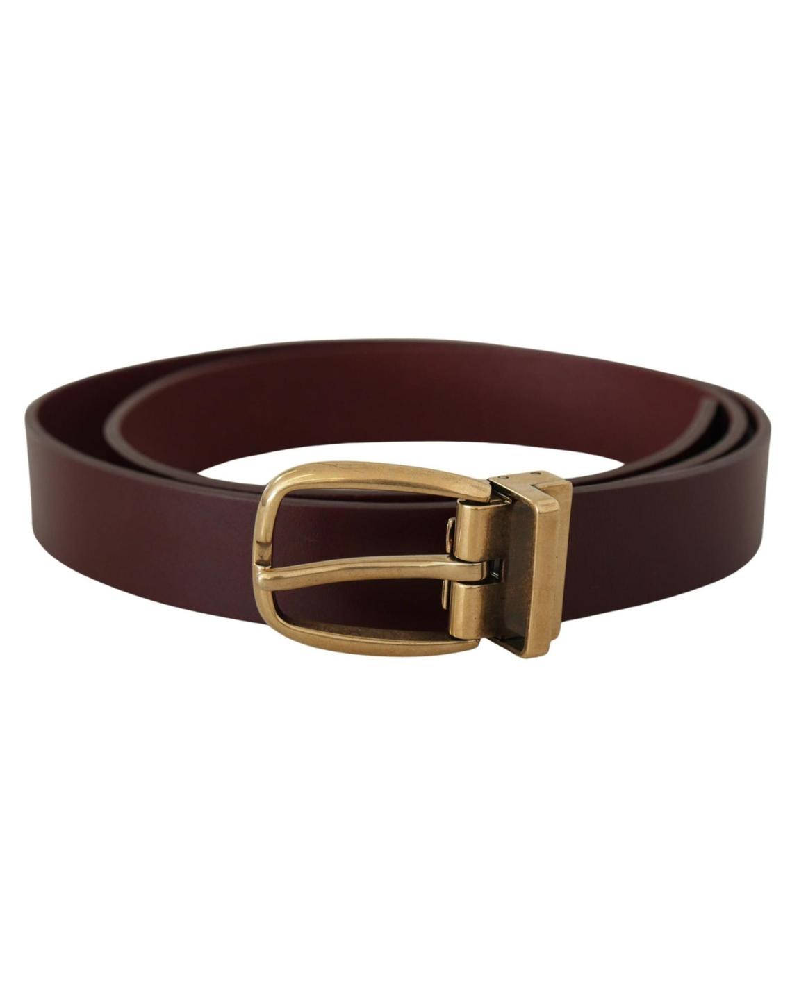 Leather BeltModelnullStylenull - Brown main product photo