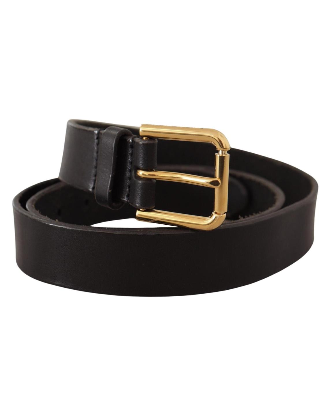 Leather Belt Black Gold Buckle - Brown main product photo