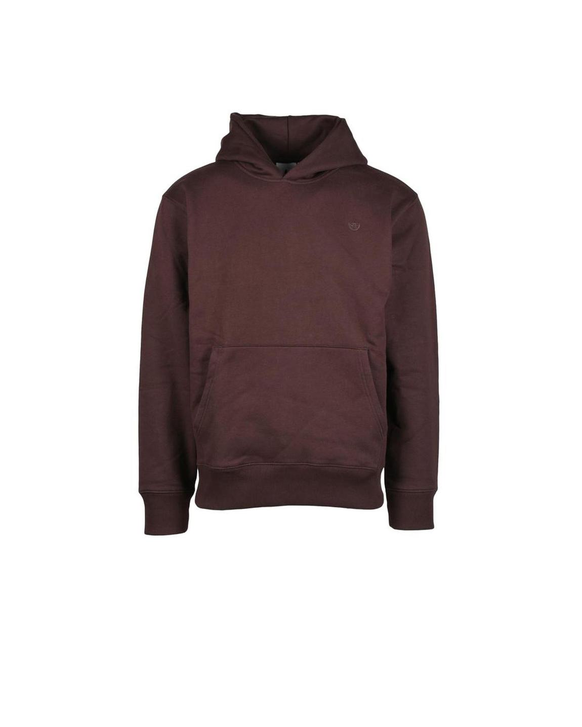 Hoodie Brown Long Sleeves Sweaters main product photo