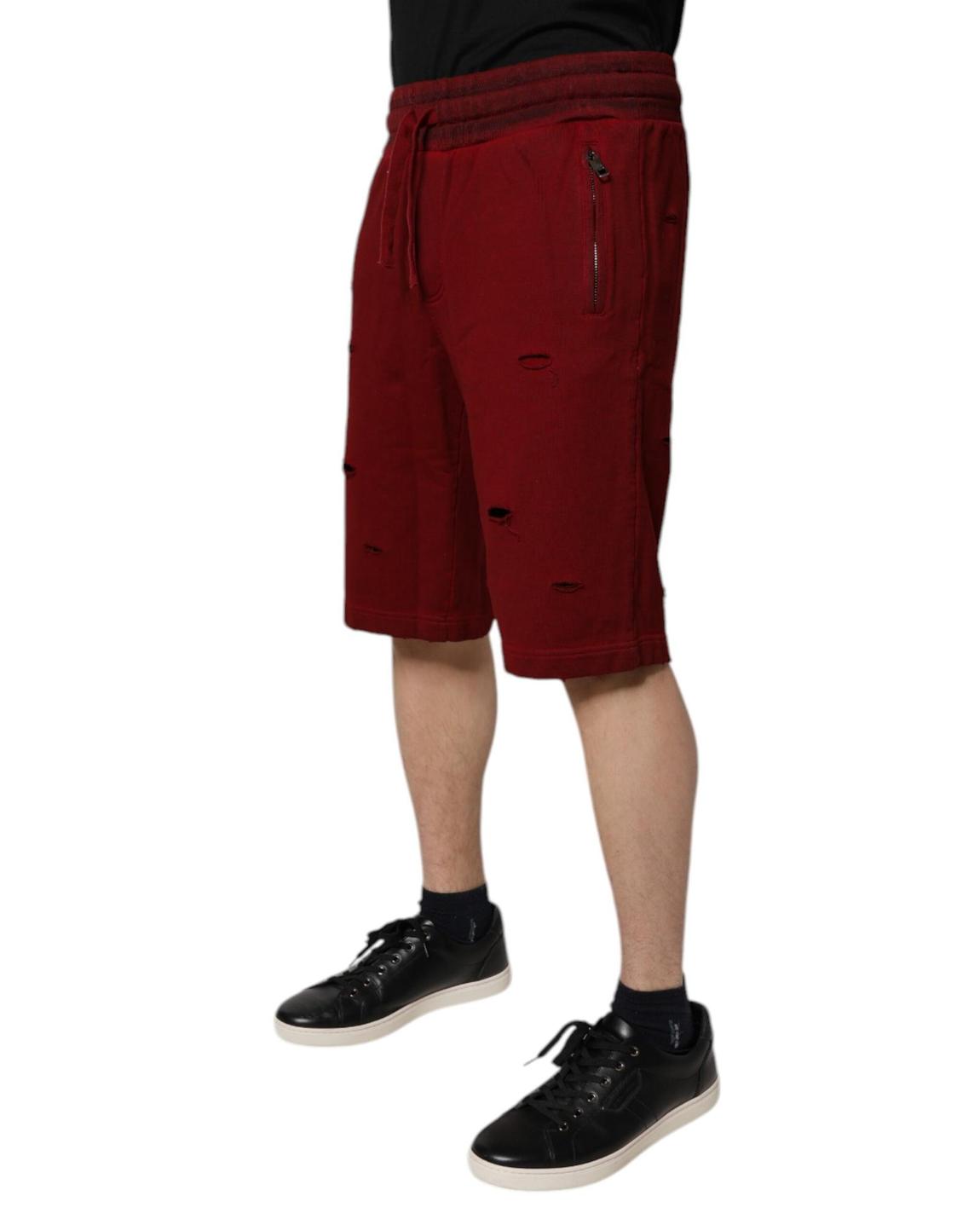 Distressed Shorts Casual Wear - Maroon main product photo