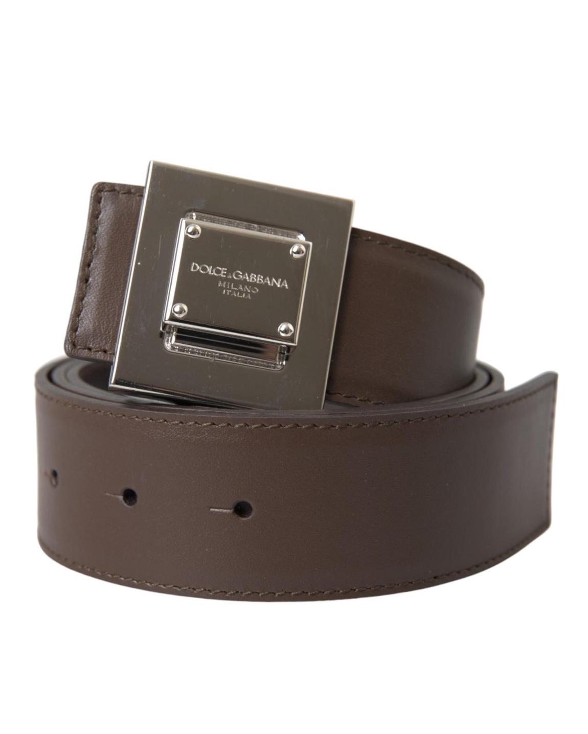 Leather BeltModel WMB469 Wo - Brown main product photo