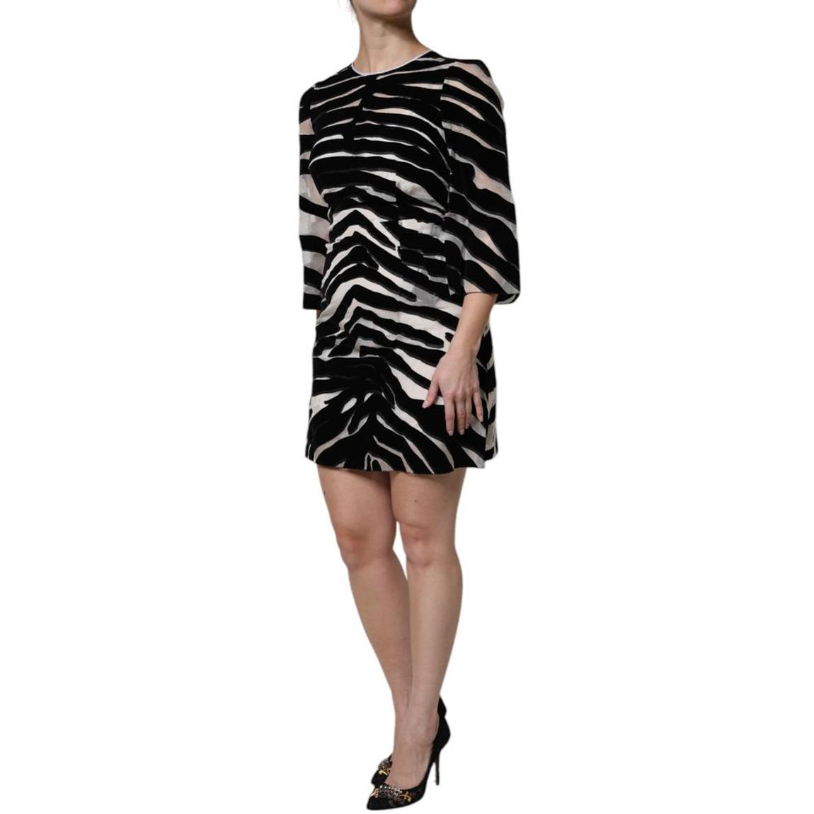 Zebra Print Mini Dress - Black And White Dresses main product photo