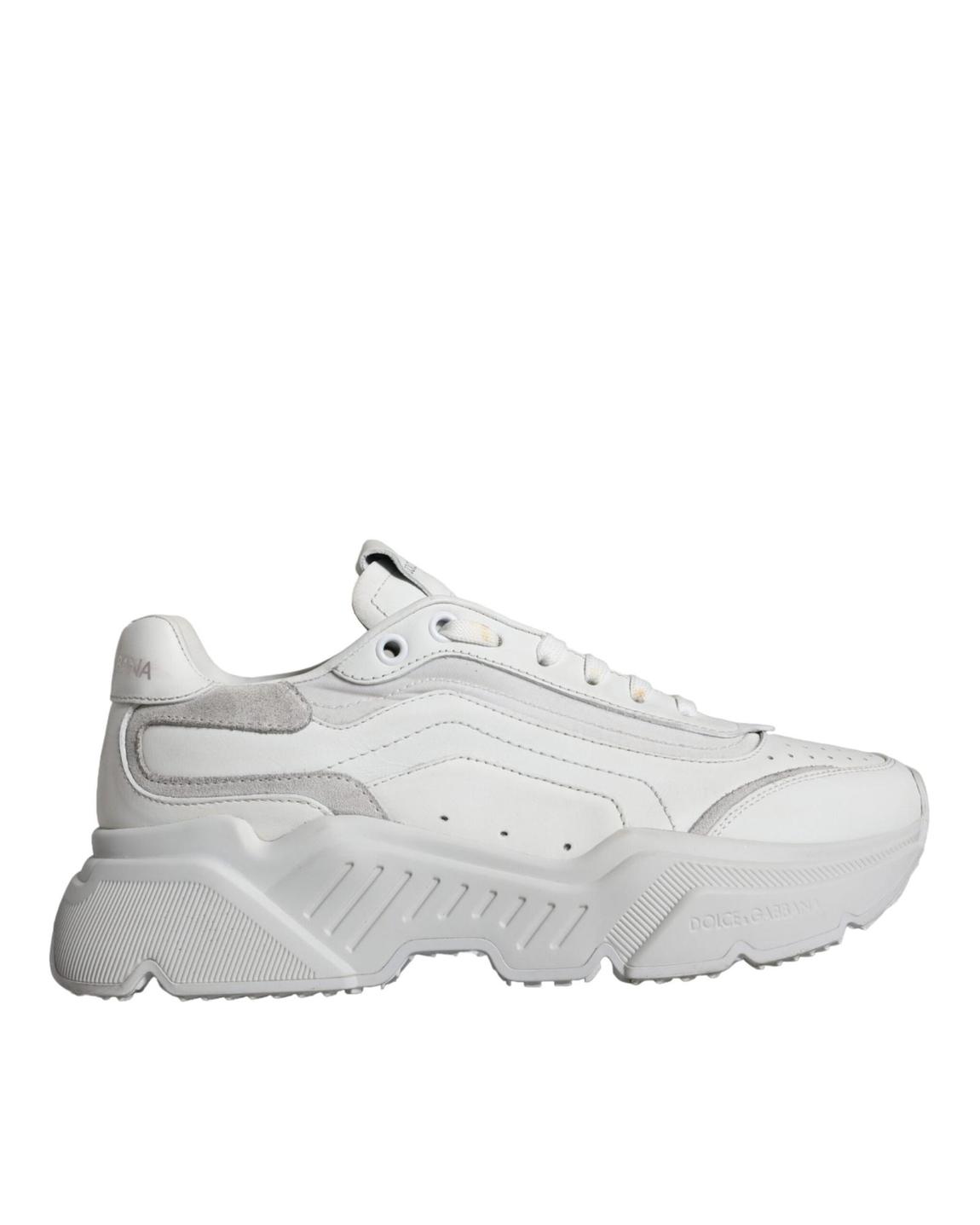 Portofino Sneakers White Leather CS1834AW701 - Multicolor main product photo