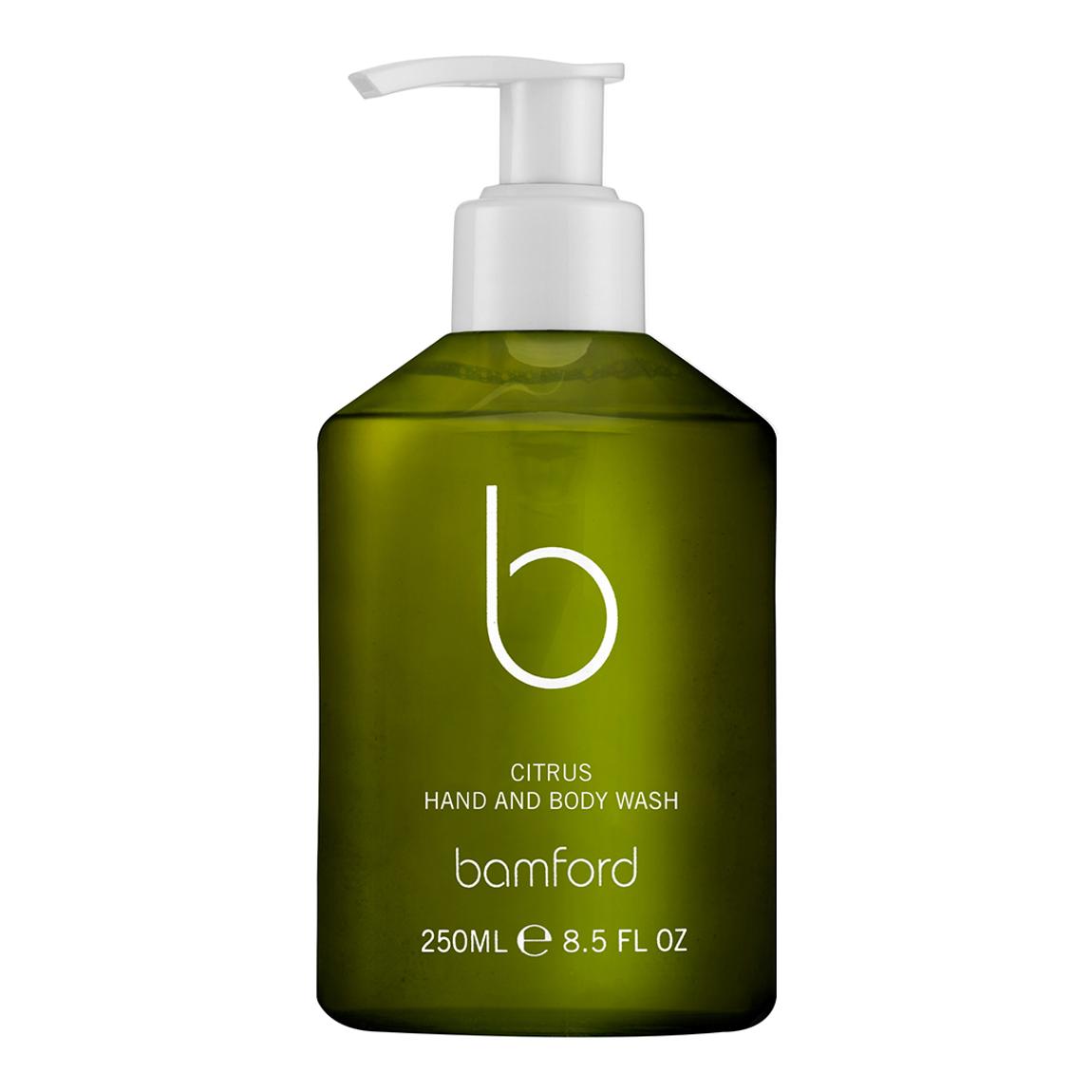 Citrus Hand And Body Wash 250Ml main product photo