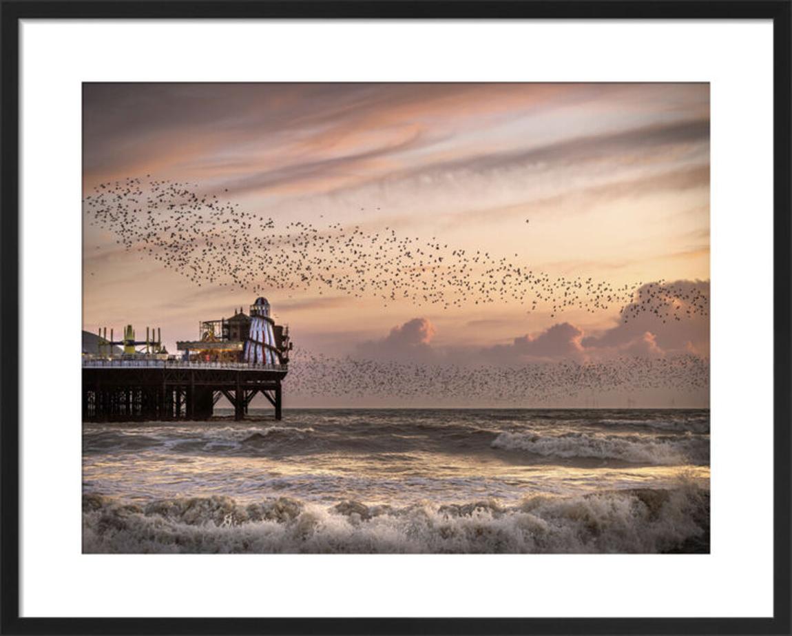 Palace Pier Skylarks in Brighton main product photo