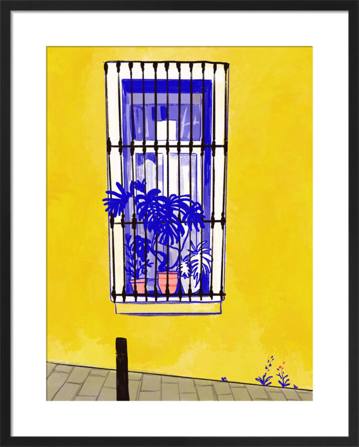 Window in Barcelona with Monstera main product photo