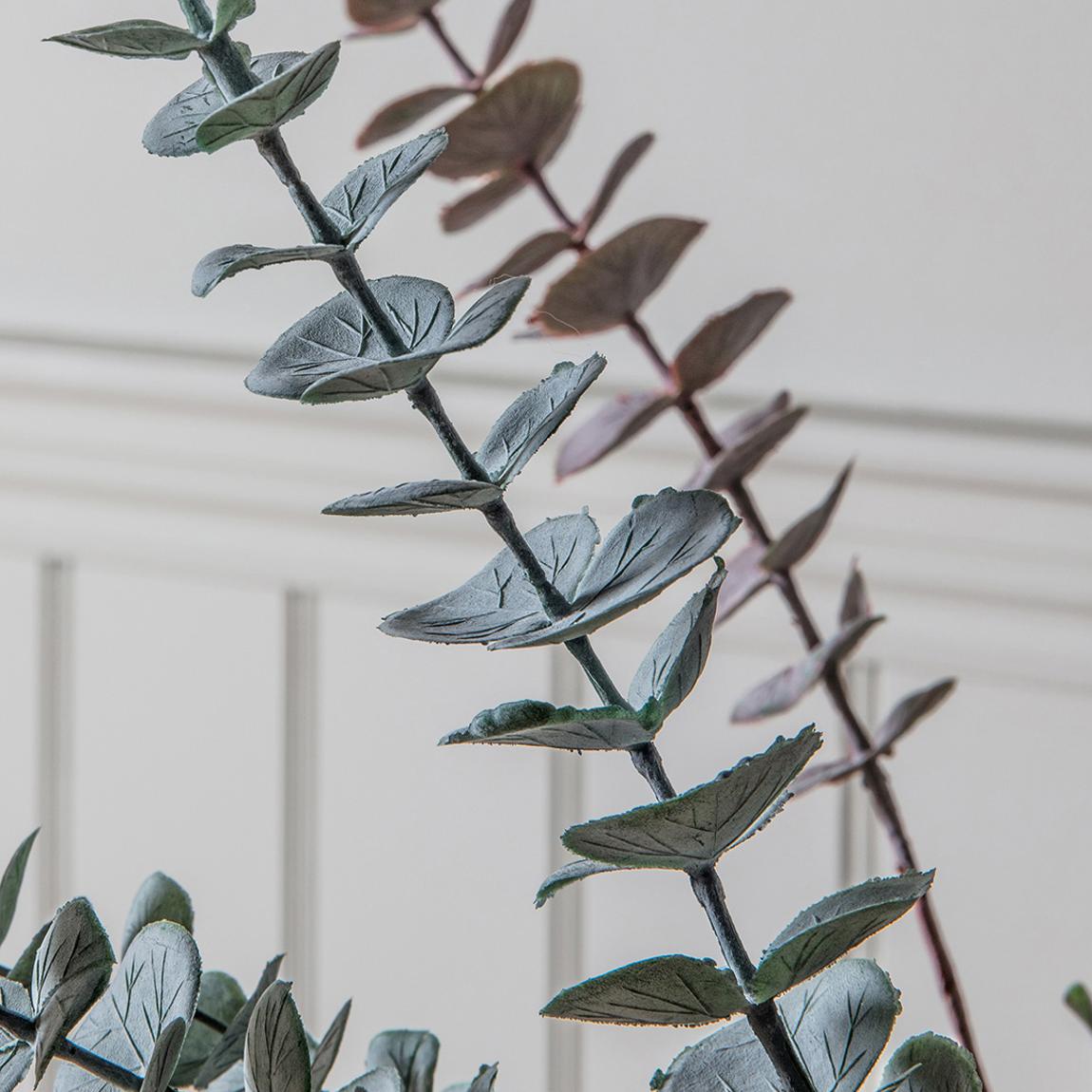 Set of 6 Eucalyptus Sprays, Dusky Grey main product photo