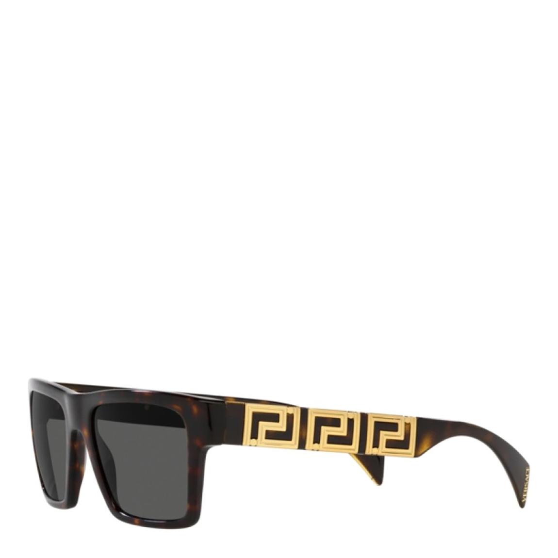 Versace Men's 54mm Havana Sunglasses main product photo