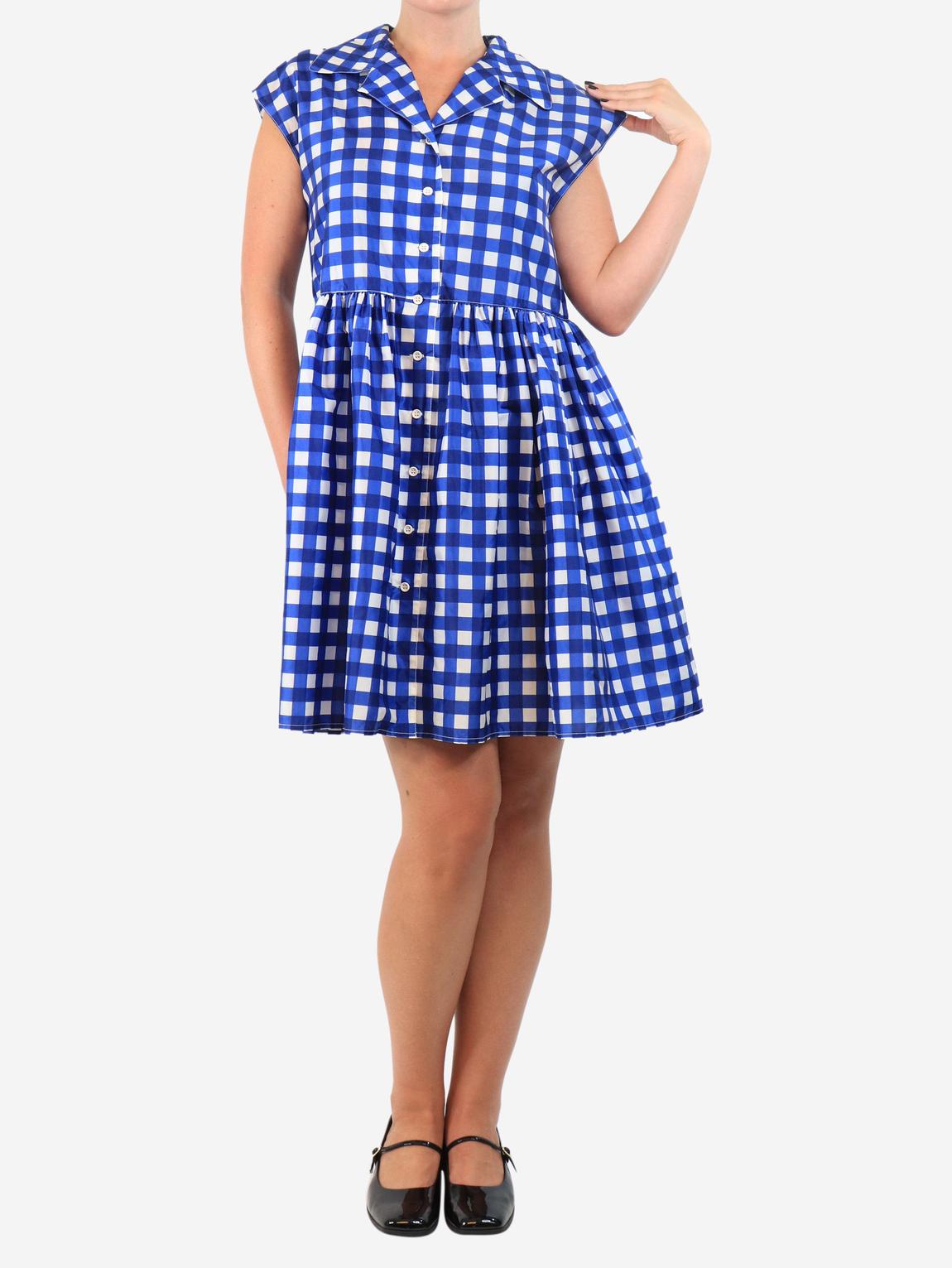 Blue and white sleeveless gingham mini dress main product photo