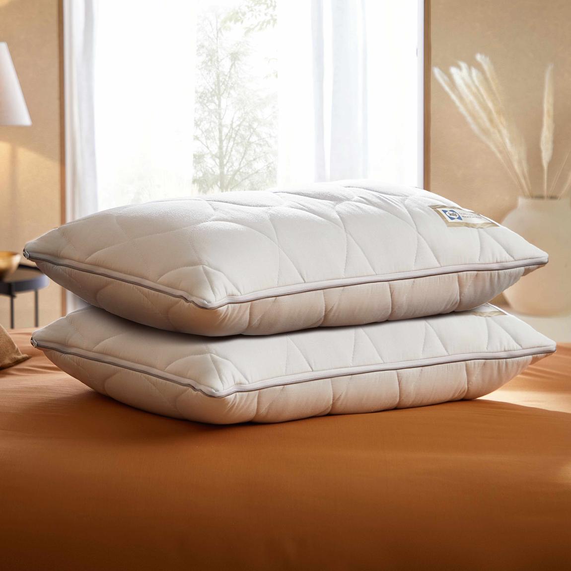 Sealy Dual Comfort Memory Foam Pillows - Pack of 2 main product photo
