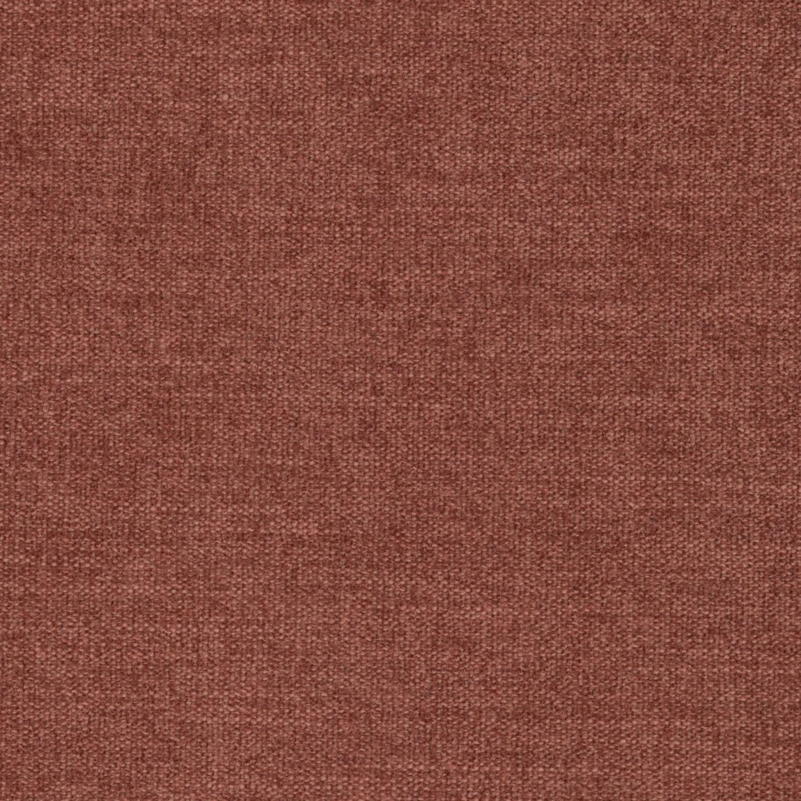Harrogate - Armchair City Coral