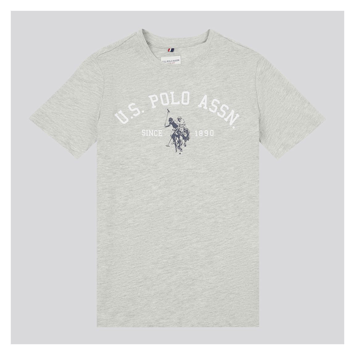 Grey Signature Arch Print T-Shirt