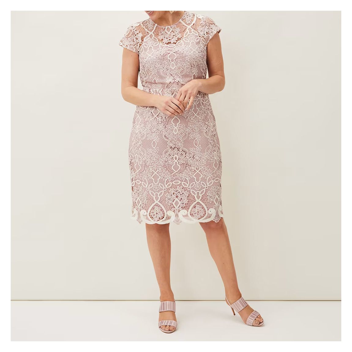 Pale Pink Frances Lace Fitted Mini Dress