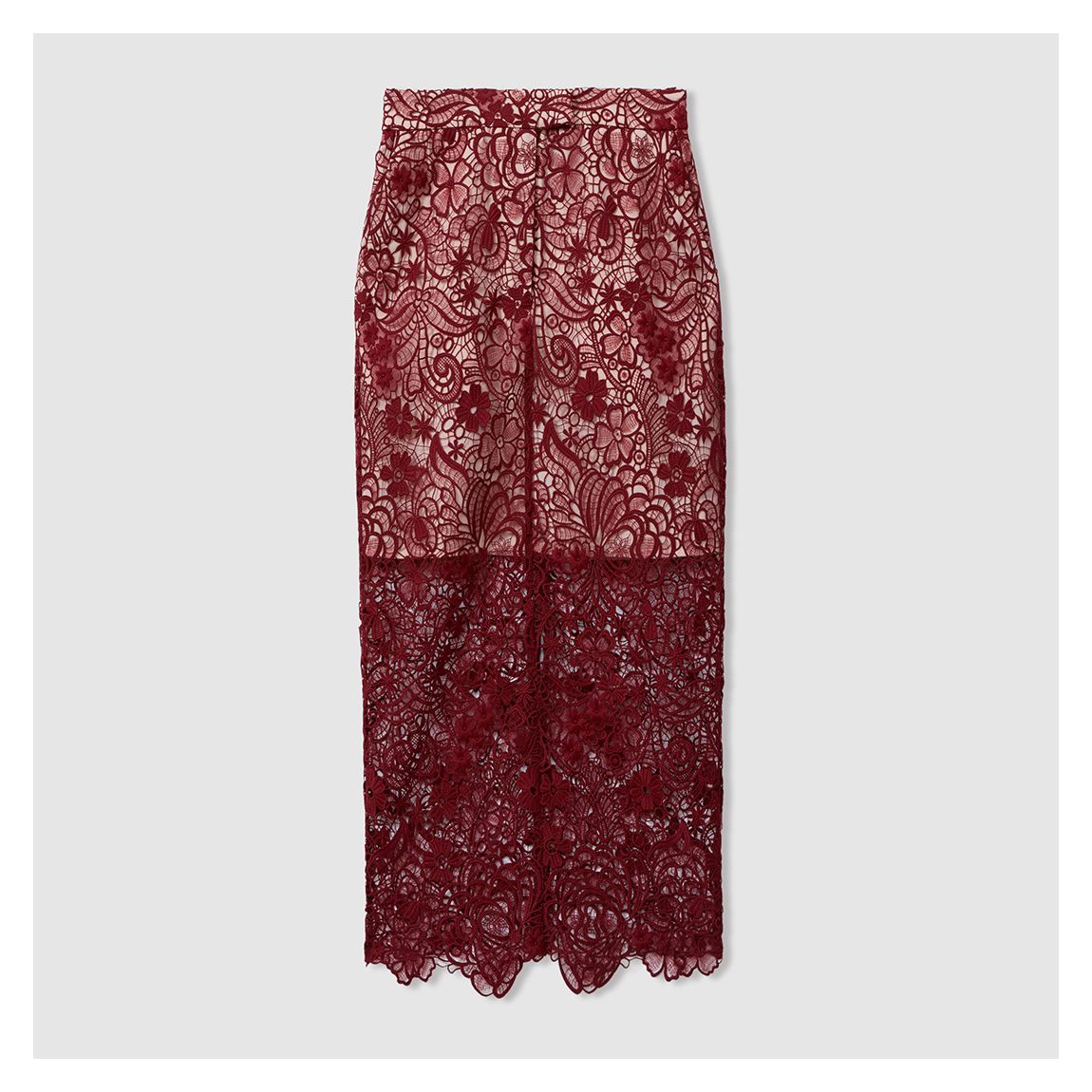 Burgundy Sheer Lace Midi Pencil Skirt