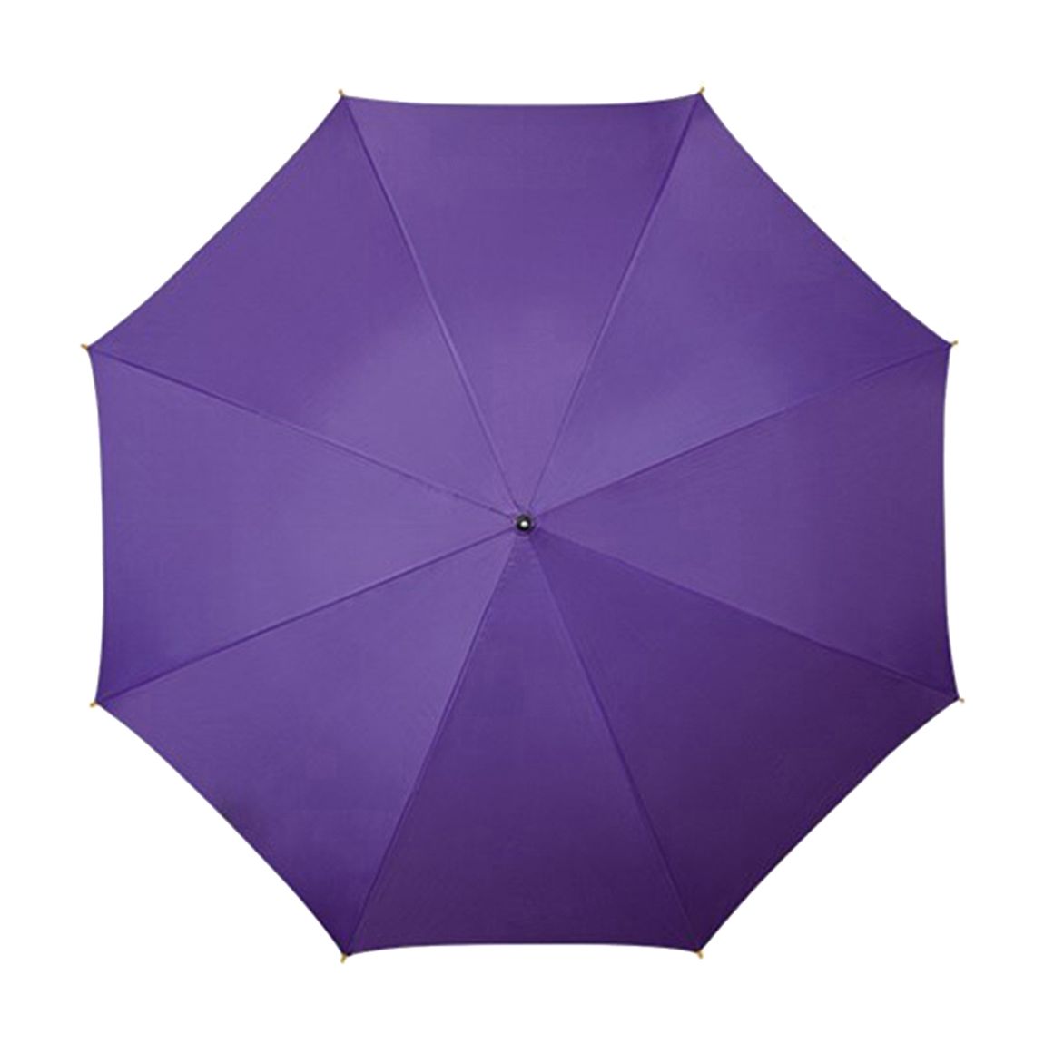 Purple Automatic Walking Umbrella