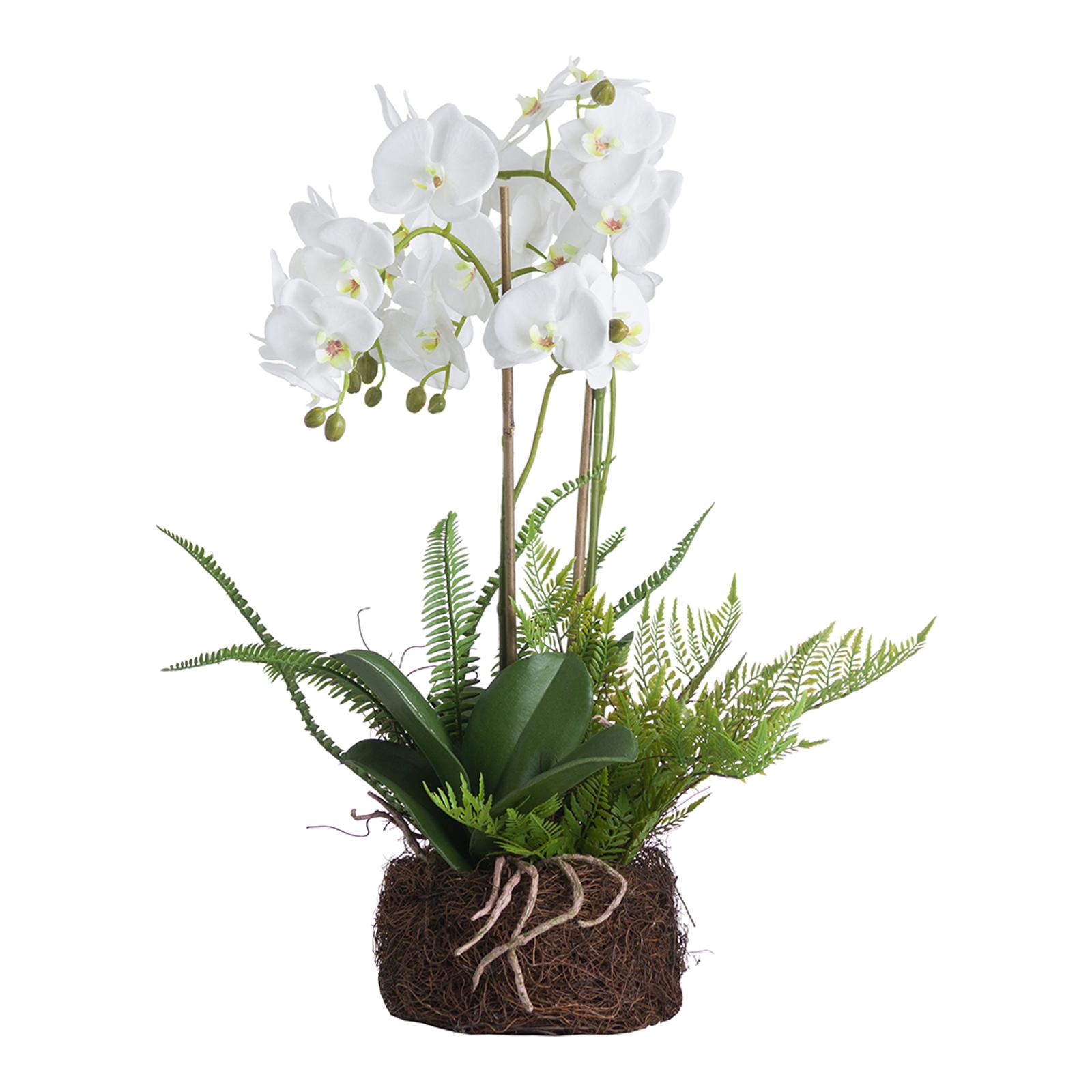 Faux Large White Orchid And Fern Garden In Rootball - BrandAlley