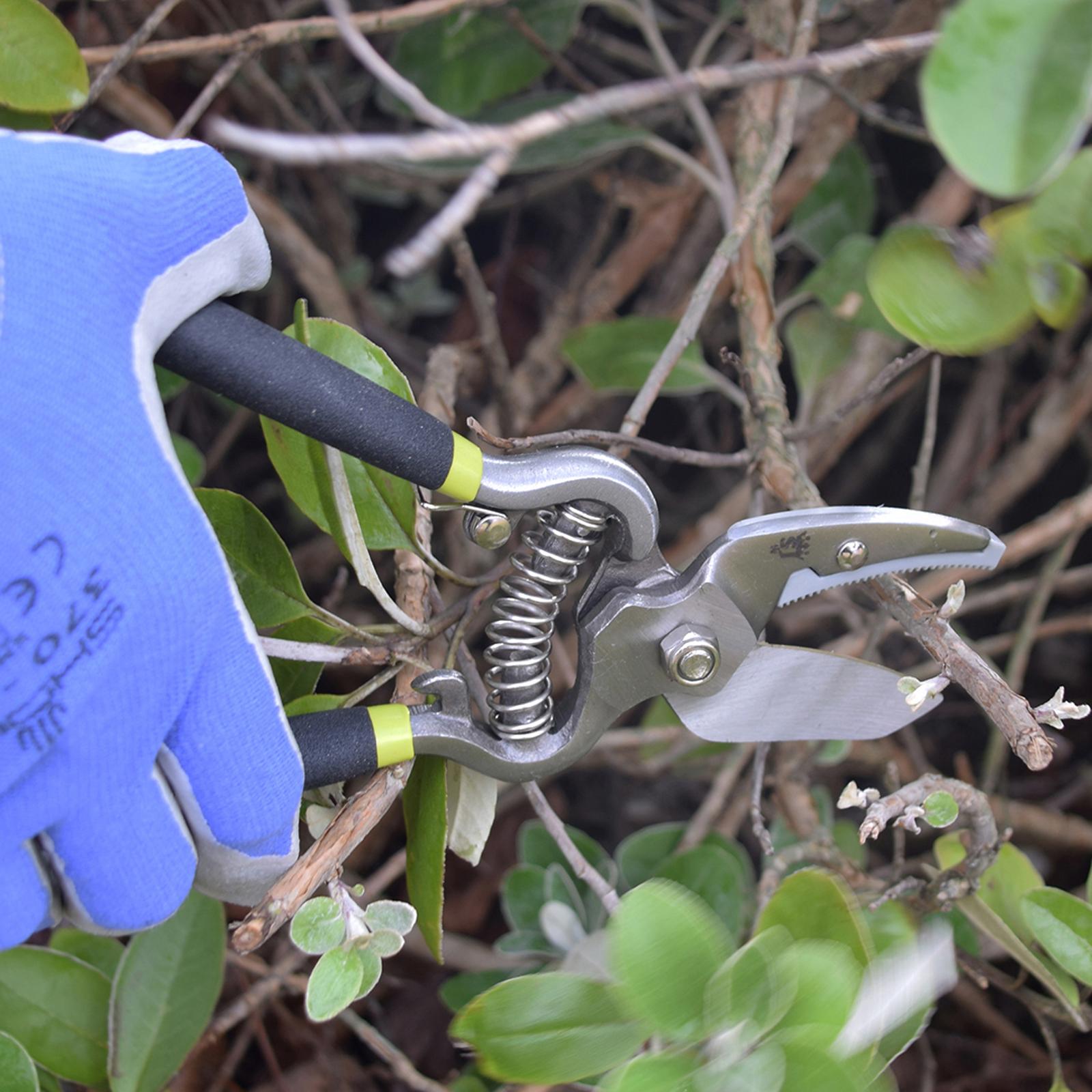 Kew Vintage Bypass & Anvil Secateur Set BrandAlley