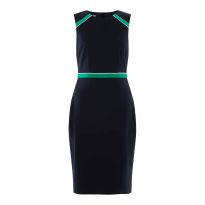 Navy Nala Fitted Dress
