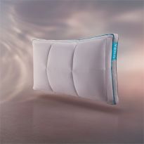 Hybrid&reg; Pair of Pillows, 47x70cm