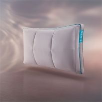 Hybrid&reg; Pair of Pillows, 47x70cm
