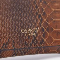 Ludlow Glasses Case - Assorted - Snake