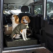 Medium Dog Coat, Vert Chameau