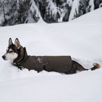Medium Dog Coat, Vert Chameau