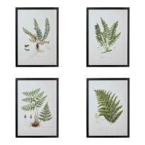 Set of Four Framed Fern Prints, Black