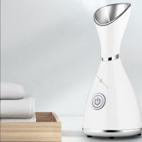 Facial Steamer