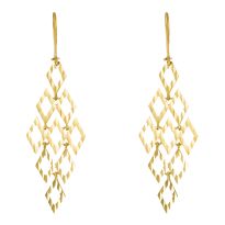 Gold Crazy Earrings