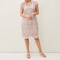 Pale Pink Frances Lace Fitted Mini Dress