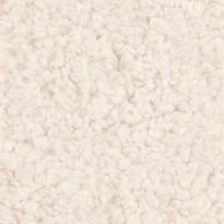 Bellamy Carver Dining Chair, Ivory White Teddy Boucle