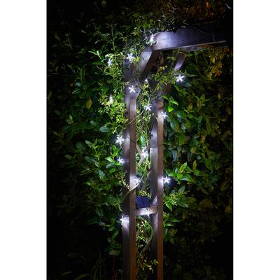 Black Super Bright Star Solar String of 50 Lights