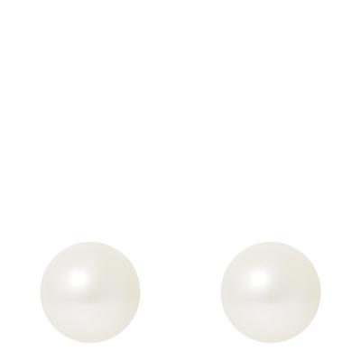 White Pearl Stud Earrings