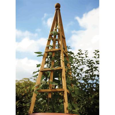 Woodland 1.9m Obelisk, Tan