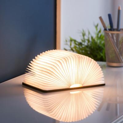 Walnut Mini Book Light