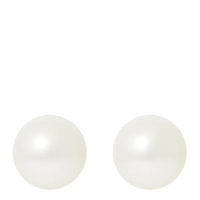 Yellow Gold/White Button Pearl Earrings 8-9mm