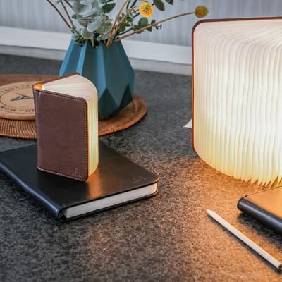 Mini Brown Leather Smart Book Light