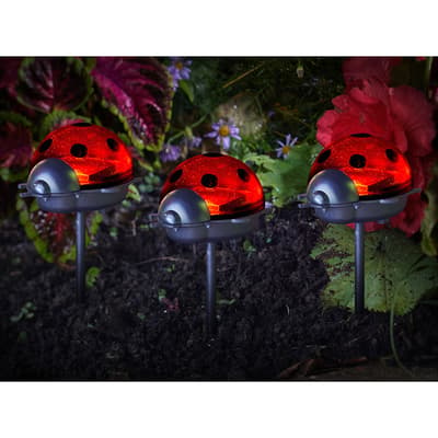 Set of 6 Ladybird Solar Stake Lights