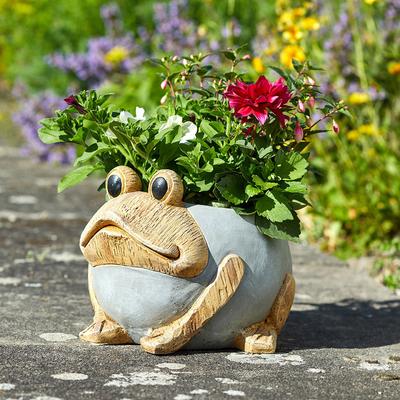 Woodstone Frog Planter