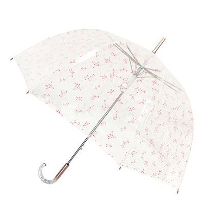 Transparent / Pink Constellation Birdcage Umbrella