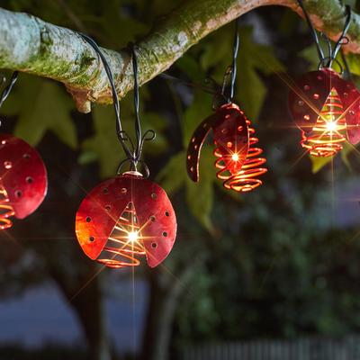 Set of 10 Solar Ladybird Lights