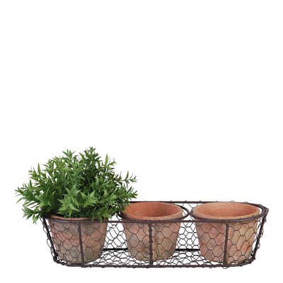 Set Of 3 Aged Pots In Wire Basket